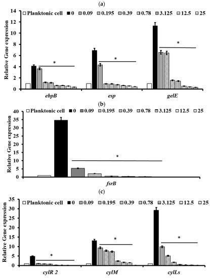 Pectolinarin Inhibits the Bacterial Biofilm Formation and Thereby ...