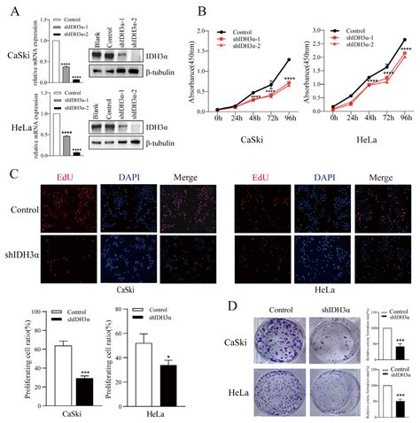 Inhibition of IDH3α Enhanced the Efficacy of Chemoimmunotherapy by ...