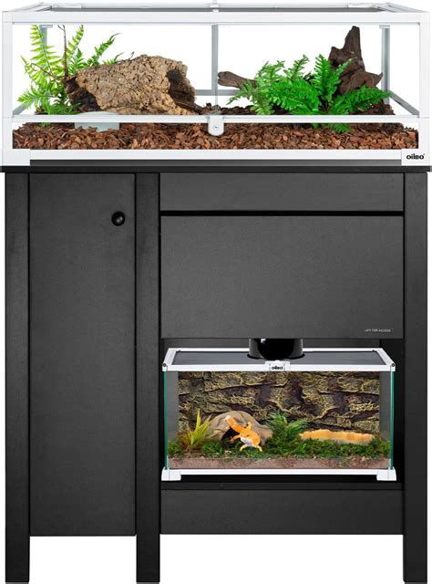 Amazon.com : OIIBO Terrarium Stand with Storage Cabinet, Wooden Reptile ...