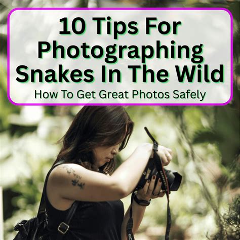 7 Myths About Snakes Debunked (Separating Fact From Fiction About These Misunderstood Reptiles)