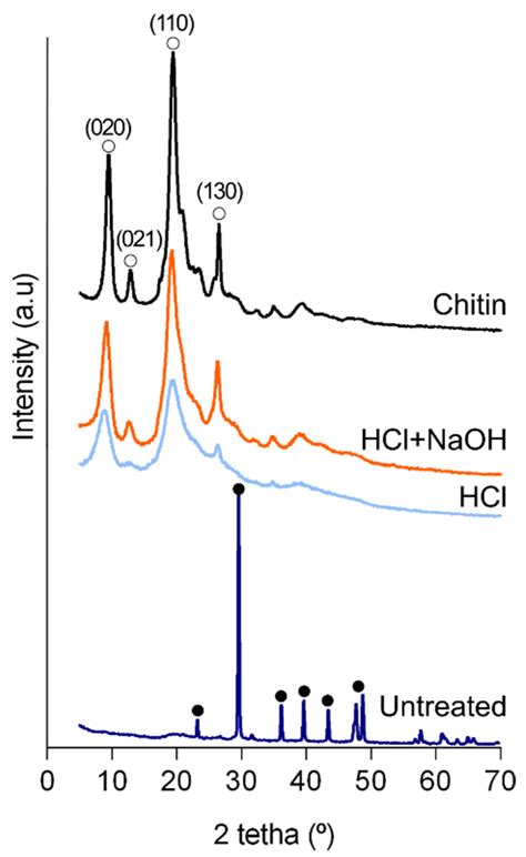 Structure and Composition of the Cuticle of the Goose Barnacle ...