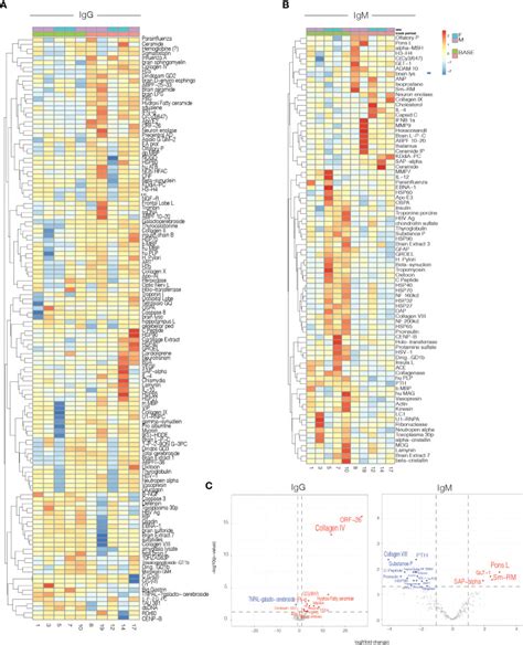 Image result for Faces CD3