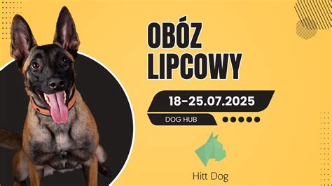 OBÓZ LIPCOWY , DOG HUB, Opole, 18 July to 25 July | AllEvents