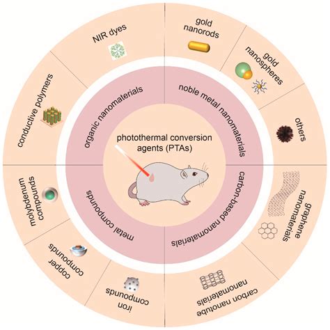 Progress of Nanomaterials-Based Photothermal Therapy for Oral Squamous ...