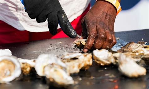Maryland Seafood Festival makes return to Annapolis - The Baltimore Banner