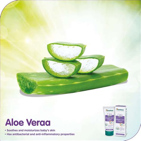 Buy HIMALAYA BABY DIAPER RASH CREAM ( 20GM) Online & Get Upto 60% OFF ...