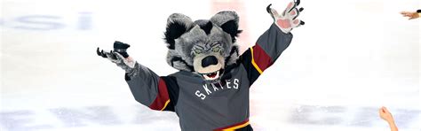 Image result for Chicago Wolves Logo