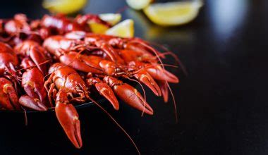 Dye Stealer Pregnancy Test - Meaning Explained A-Z