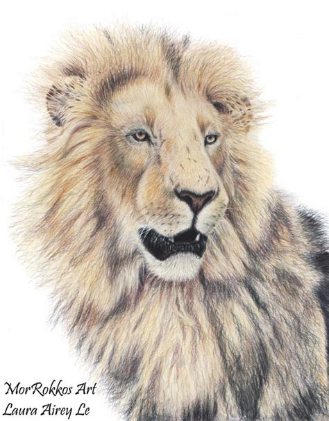 African Lion Reproduction Art 的图像结果