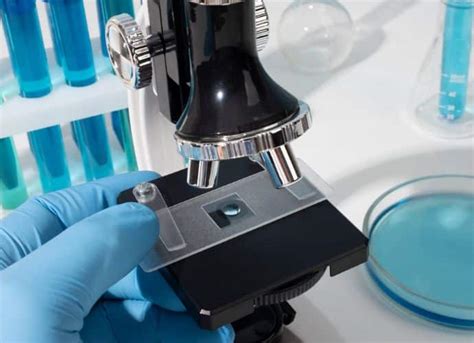 Image result for PCR Paper Lab