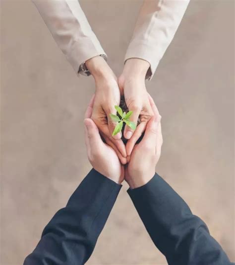 Image result for Creating Trust