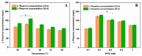 Fermentative Production of L-Theanine in Escherichia coli via the ...