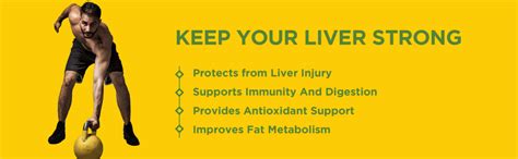 HealthKart HK Vitals Milk Thistle Extract (120 Capsules) | Liver ...