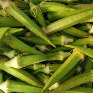 naturehils F1 Okra Seeds, Exotic Lady Finger Seeds,Bhindi Seeds, Okra ...