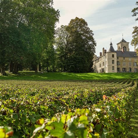 VUES D'ICI EN CHAMPAGNE Guide (2026) All You Need to Know BEFORE You Go ...