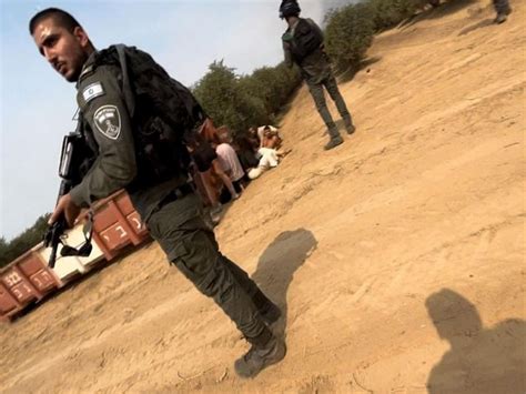 Israel: Survivor of Hamas's rave massacre returns to frontlines