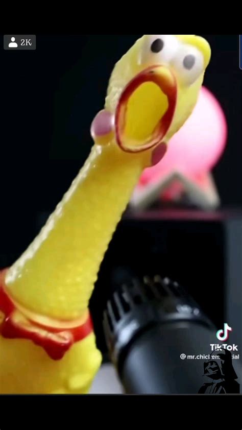 Rubber Chicken Music 的图像结果