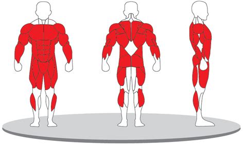 SMITH SQUAT COMBO RACK A-3064