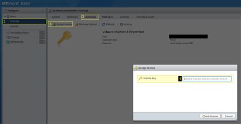 P2V Conversion 的图像结果
