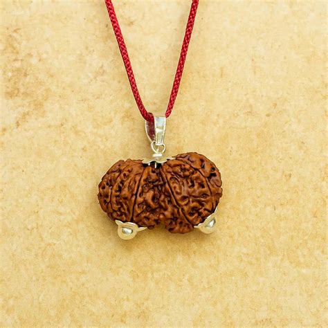 Natural Gauri Shankar Rudraksha- Shiva & Shakti in One Sacred Form ...