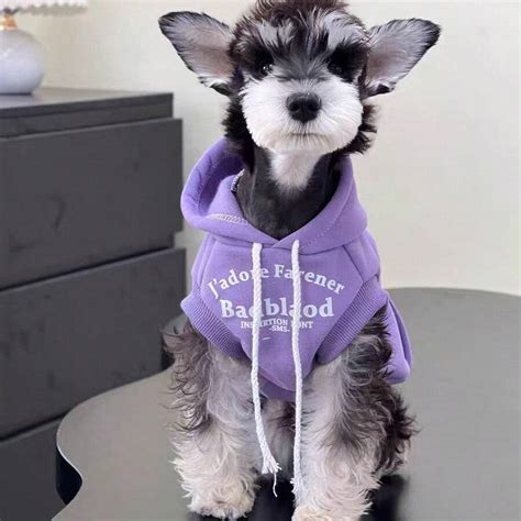 Winter Fleece Hoodie Dog Clothes, New Warm Dog Wear For Schnauzer, West ...
