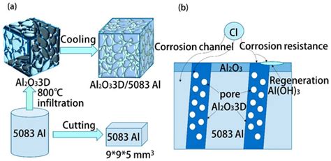 Comparing the Corrosion Resistance of 5083 Al and Al2O33D/5083 Al ...