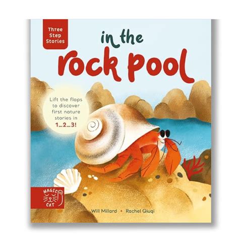 Three Step Stories: In the Rock Pool: Lift the Flaps to Discover First ...