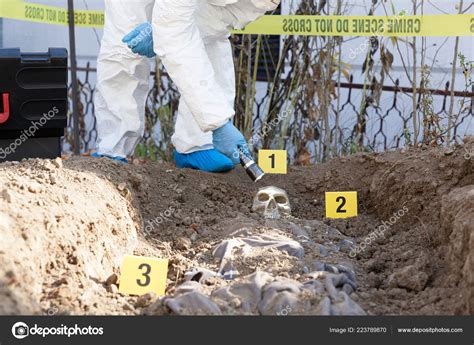 Forensic Science Crime Scene 的图像结果