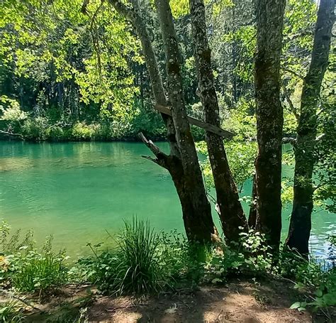 ILLINOIS RIVER FORKS STATE PARK (2026) All You Need to Know BEFORE You ...