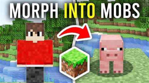 Image result for Minecraft Mob Morphing