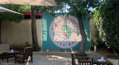 GREEN DOLPHIN (Bar) - Apartment Reviews & Photos - Tripadvisor