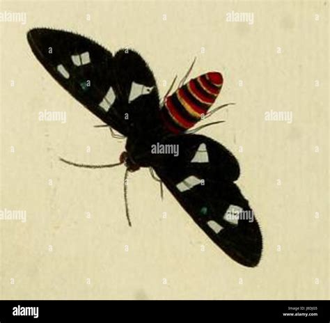 Creusa hi-res stock photography and images - Alamy