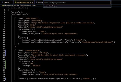Setting JSON CMake Vscode 的图像结果
