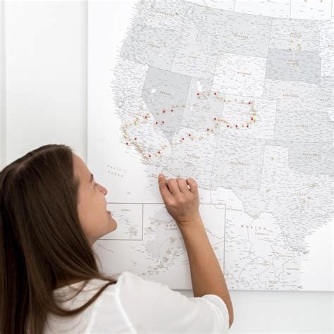 USA Map with Pins 的图像结果