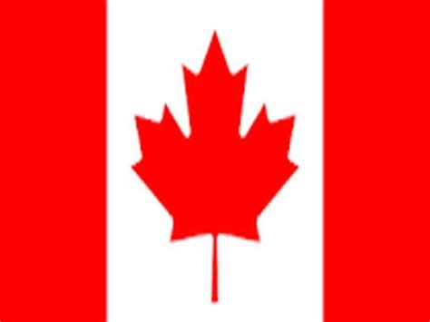 Canadian troops in Ukraine relocated west of Dnieper river for safety ...