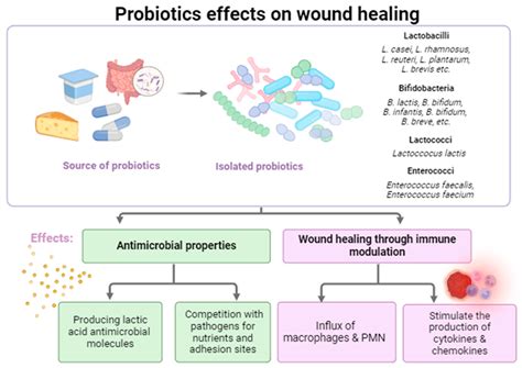 Probiotics in Wound Healing