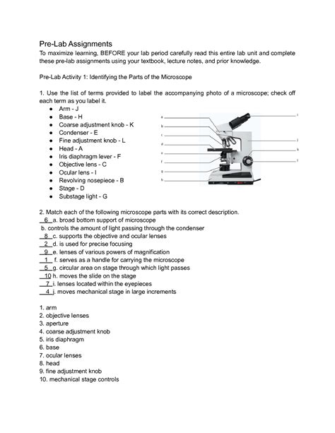 Image result for Microscope Lab Activity