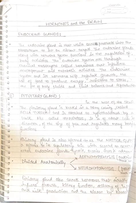 Biopsych notes-1 - classmate Date Page HORMONES and the BRAIN ENDOCRINE ...