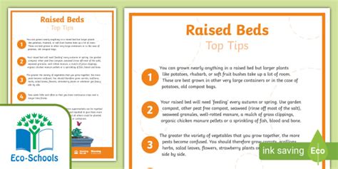 Eco-Schools NI: Top Tips on Raised Beds (teacher made)