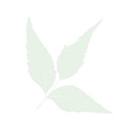 Universal Organics | Karanja Cake & Pellets