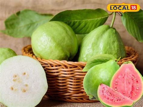 Tips and Tricks: చూడటానికి తాజాగా ఉంటే అవి మంచి జామకాయలు అనుకోకండి ...