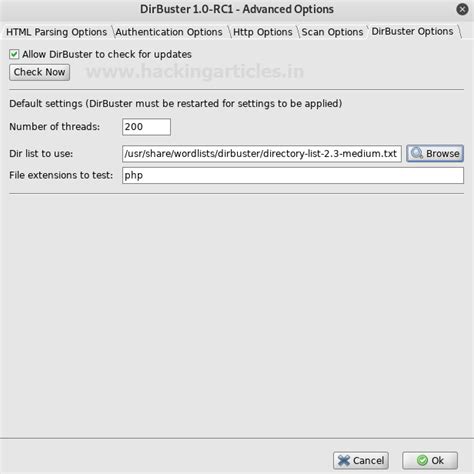 Comprehensive Guide on Dirbuster Tool