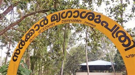 Veterinary hospitals running out of doctors despite increase in number ...