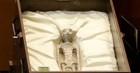 Image result for Alien Skull Found in Mexico