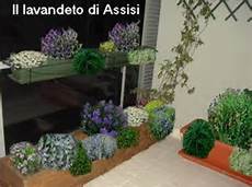 piante fiorite da terrazzo progetti giardini gratis progetti giardini privati piante fiorite da terrazzo progetti giardini gratis progetti giardini privati