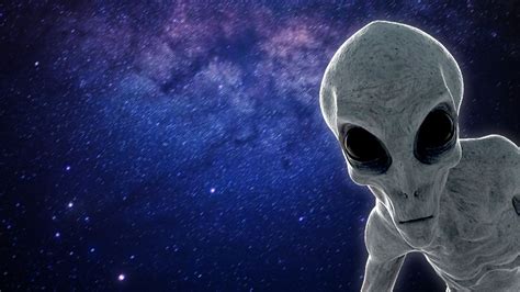 Image result for Alien Theory S12 FR