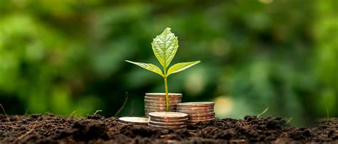 Agriculture Finance - Sources of Agricultural Finance in India