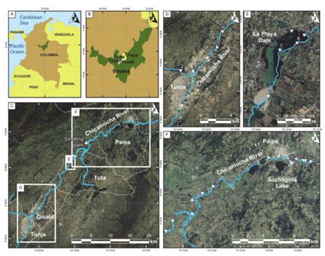 Electron Microscopy Evidence of Zn Bioauthigenic Sulfides Formation in ...