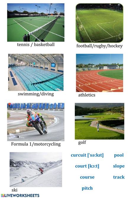 Places We Can Do Sports 的图像结果
