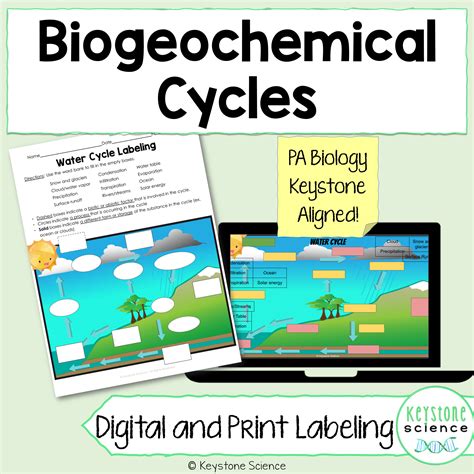 Water Cycle Clipart
